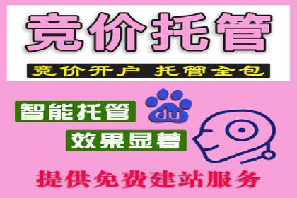成功案例：竞价托管SEM助力企业快速成长